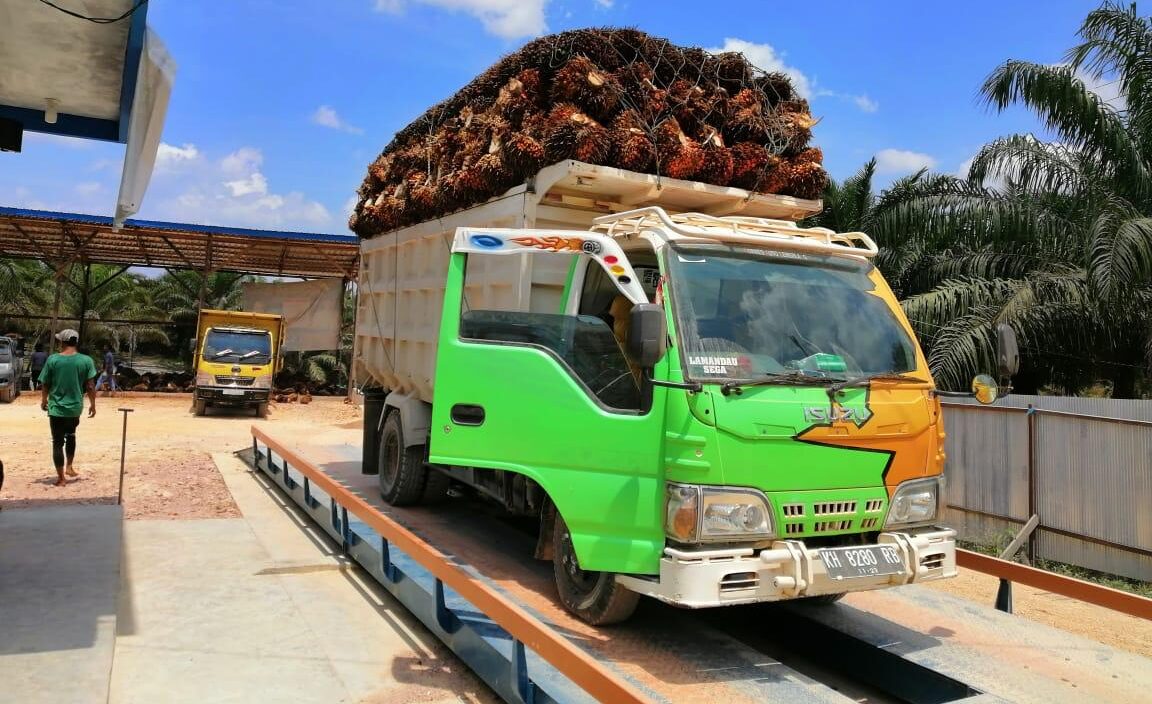 timbangan sawit, harga timbangan sawit 20ton