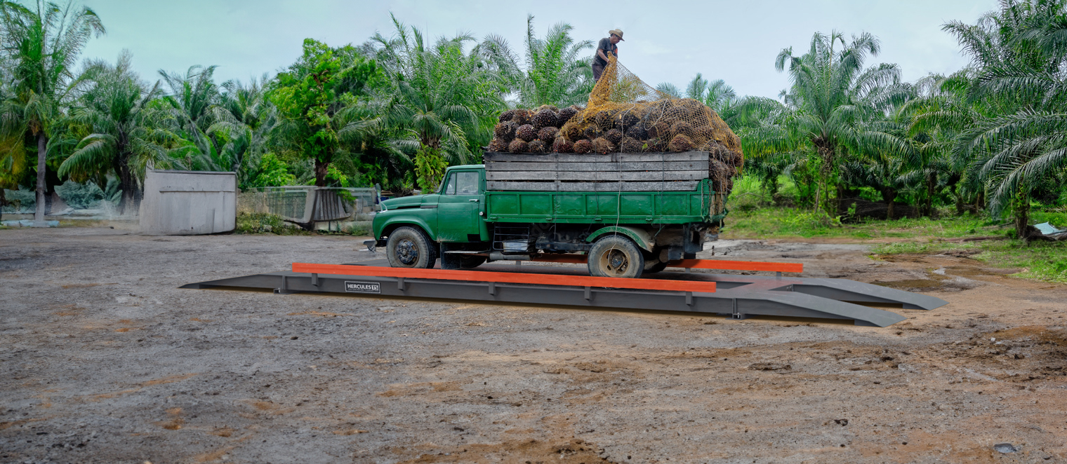 Timbangan Sawit 10Ton: Garansi 6 Tahun | Ready Stock & Siap Kirim